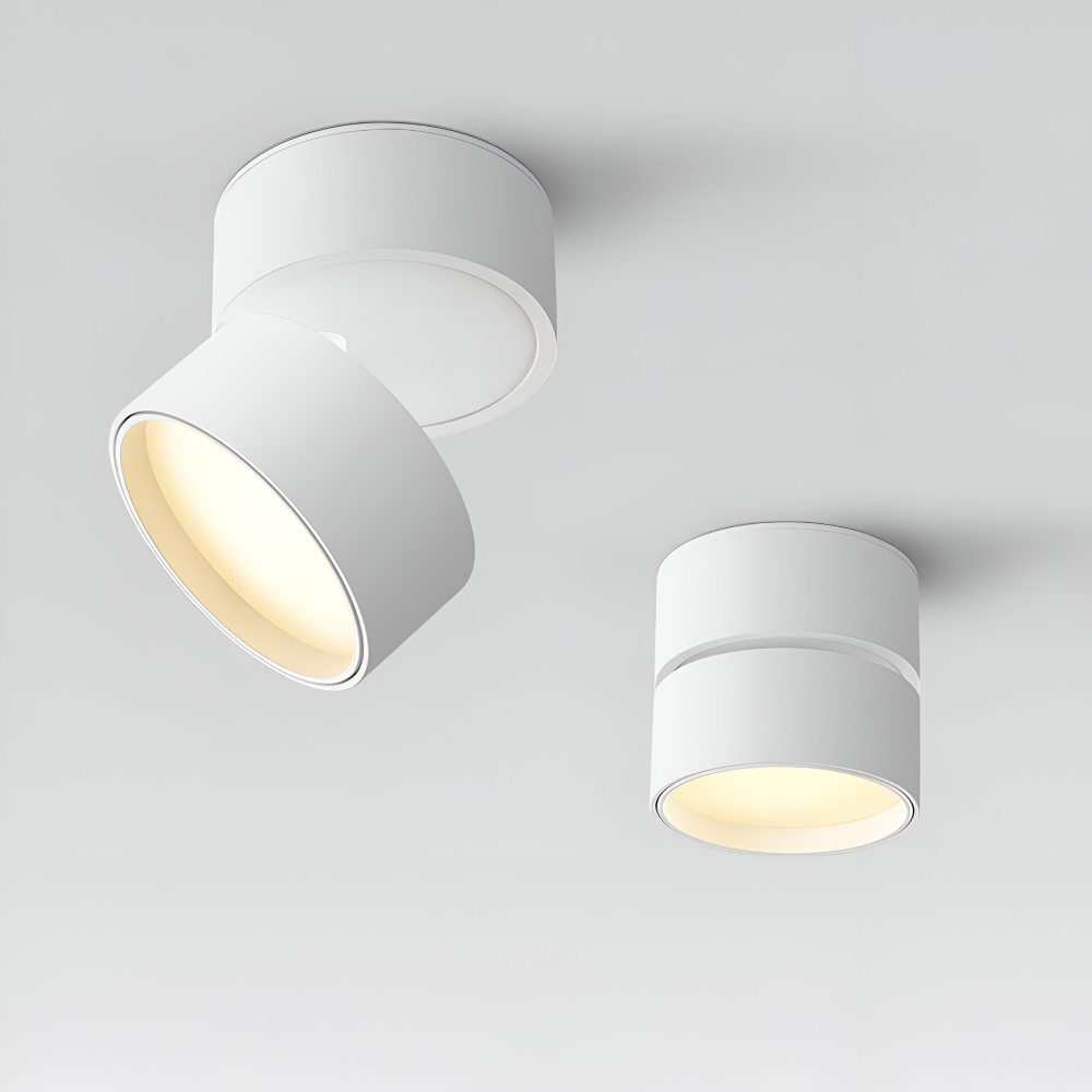 Verstelbare LED Opbouwspot van Aluminium met Dimbare Verlichting
