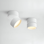 Verstelbare LED Opbouwspot van Aluminium met Dimbare Verlichting