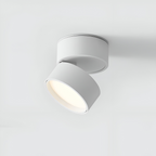 Verstelbare LED Opbouwspot van Aluminium met Dimbare Verlichting