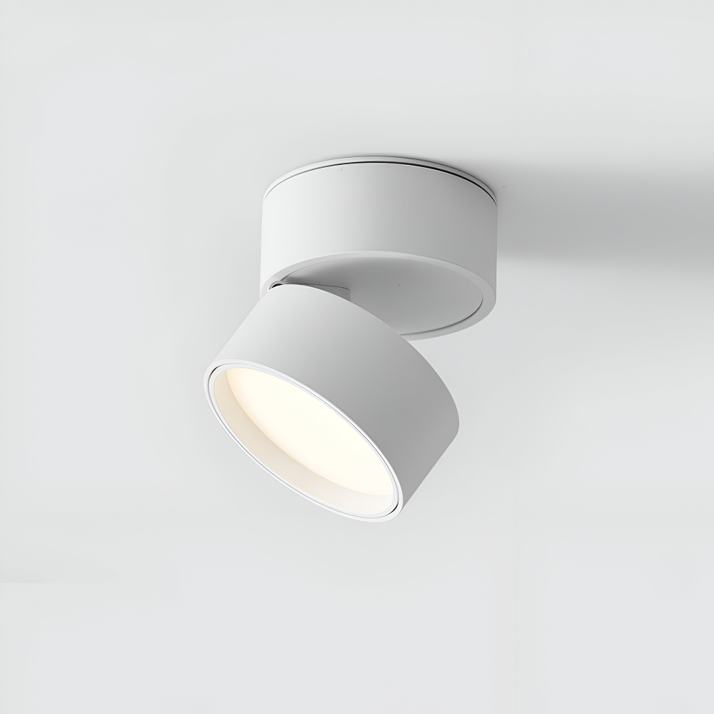 Verstelbare LED Opbouwspot van Aluminium met Dimbare Verlichting