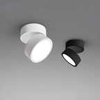 Verstelbare LED Opbouwspot van Aluminium met Dimbare Verlichting