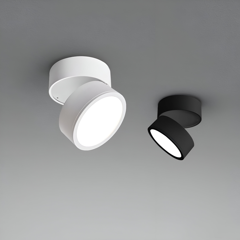 Verstelbare LED Opbouwspot van Aluminium met Dimbare Verlichting