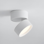 Verstelbare LED Opbouwspot van Aluminium met Dimbare Verlichting