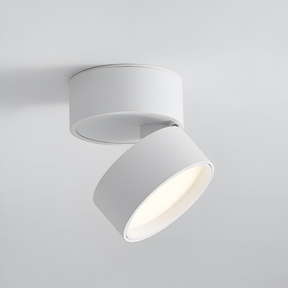 Verstelbare LED Opbouwspot van Aluminium met Dimbare Verlichting