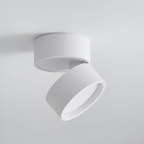Verstelbare LED Opbouwspot van Aluminium met Dimbare Verlichting