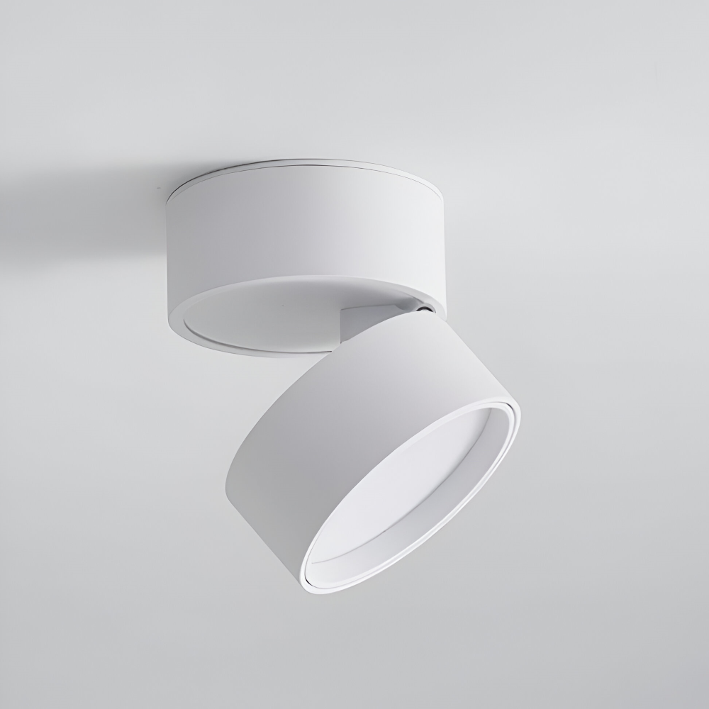 Verstelbare LED Opbouwspot van Aluminium met Dimbare Verlichting