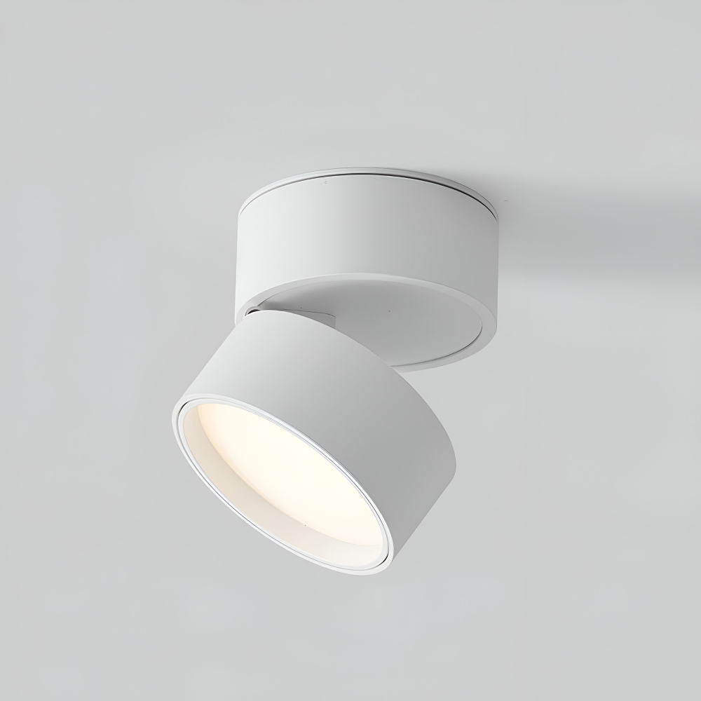 Verstelbare LED Opbouwspot van Aluminium met Dimbare Verlichting