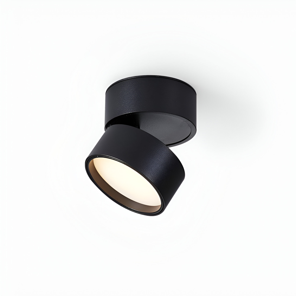 Verstelbare LED Opbouwspot van Aluminium met Dimbare Verlichting