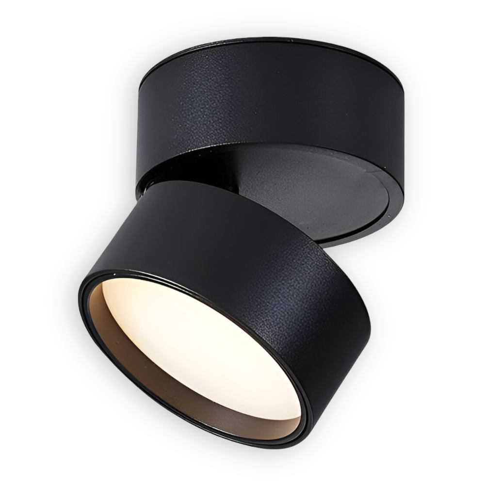 Verstelbare LED Opbouwspot van Aluminium met Dimbare Verlichting