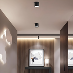 Verstelbare LED Opbouwspot van Aluminium met Dimbare Verlichting