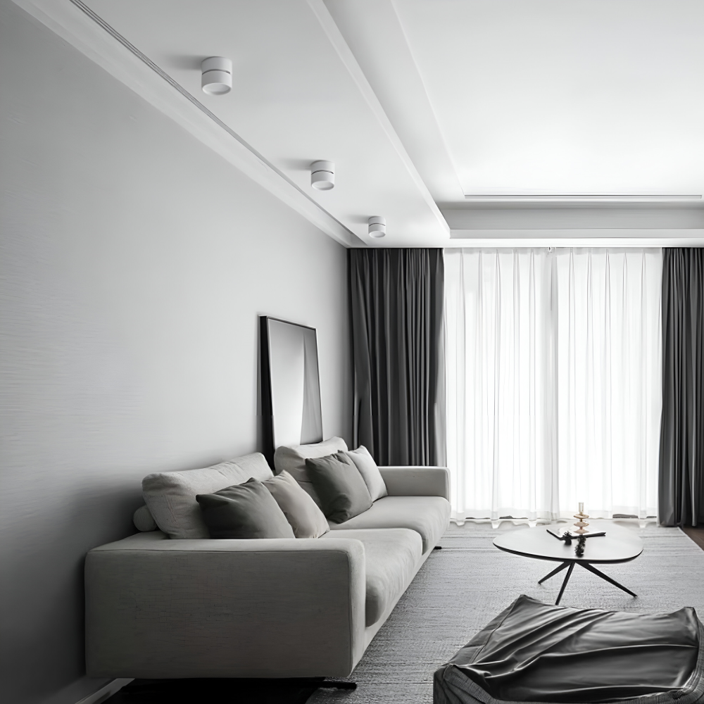 Verstelbare LED Opbouwspot van Aluminium met Dimbare Verlichting