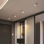 Verstelbare LED Opbouwspot van Aluminium met Dimbare Verlichting