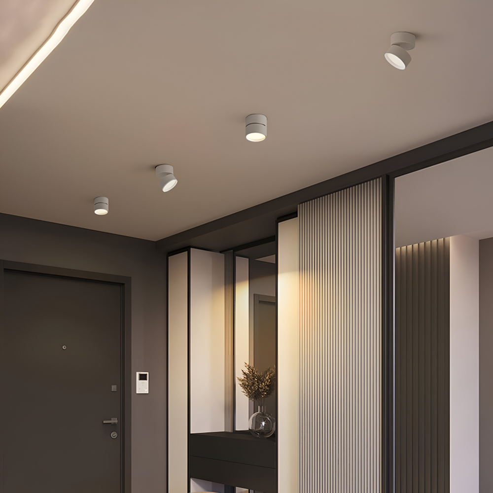 Verstelbare LED Opbouwspot van Aluminium met Dimbare Verlichting