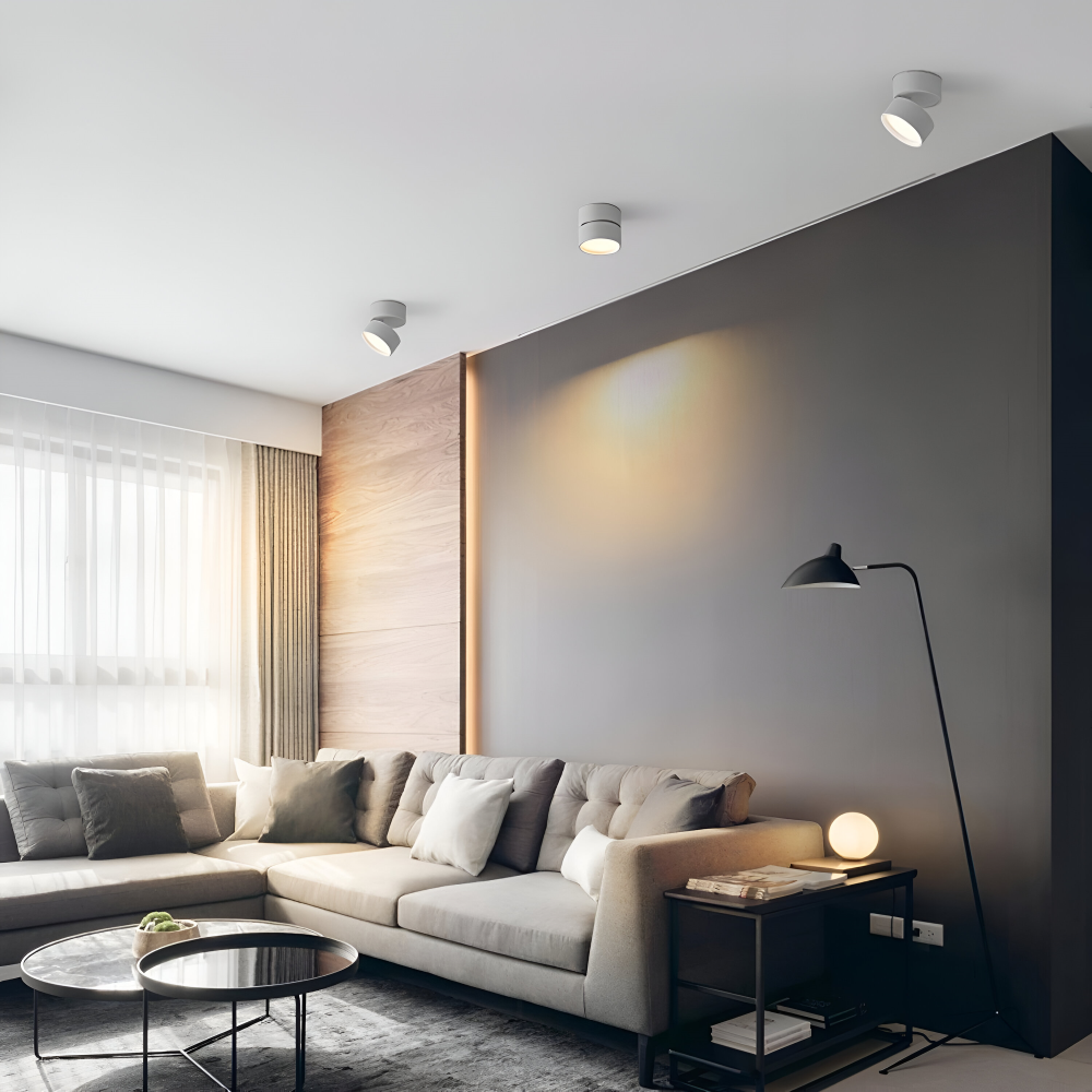 Verstelbare LED Opbouwspot van Aluminium met Dimbare Verlichting