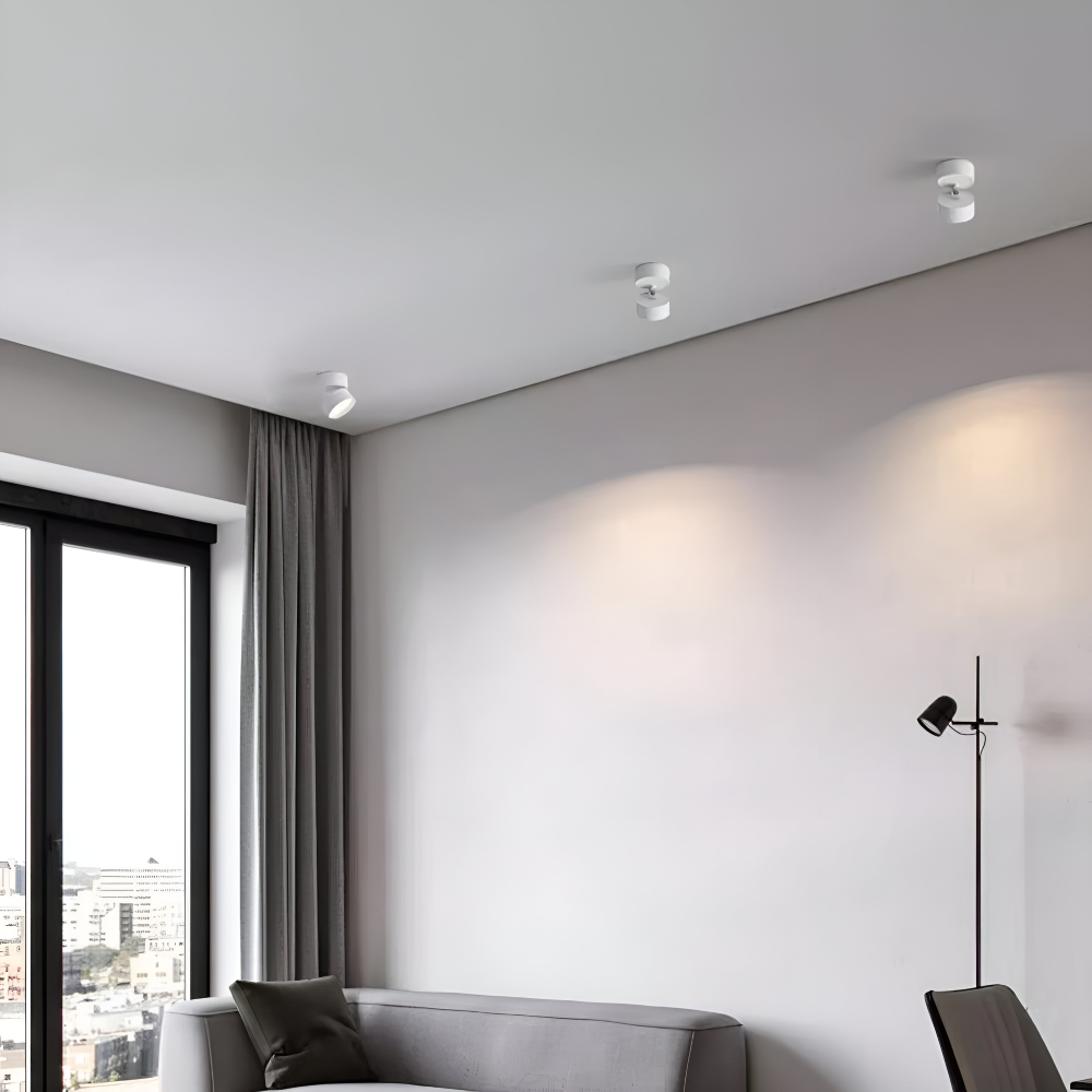 Verstelbare LED Opbouwspot van Aluminium met Dimbare Verlichting