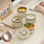 Geïsoleerde Lunchbox Met Meerdere Compartimenten