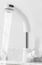 Badkamerkraan met Uittrekbare Waterstraal en Eenvoudige Installatie