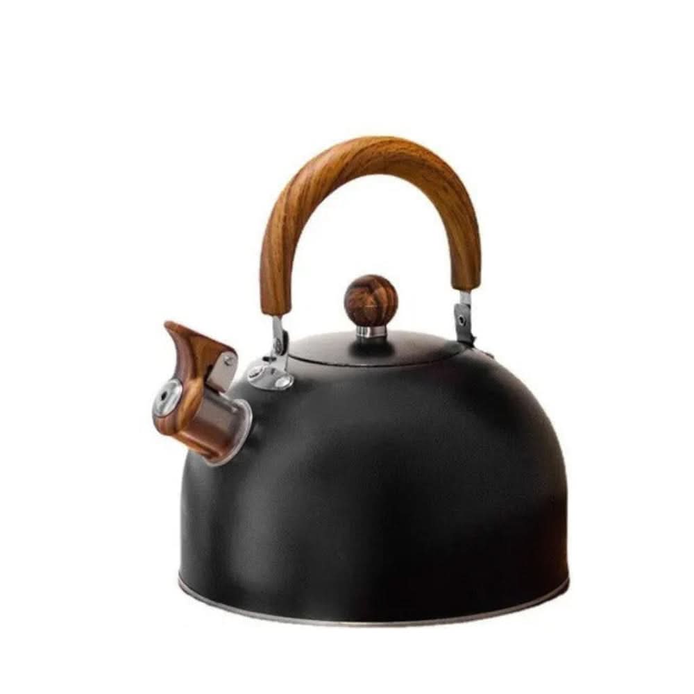 Fluitketel met vaste handgreep