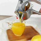 Handmatige Citruspers van Roestvrij Staal met Ergonomische Hefboomgreep