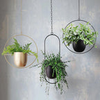 Hangplanter met metalen ringstructuur vorm
