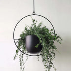 Hangplanter met metalen ringstructuur vorm