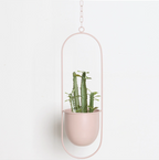 Hangplanter met metalen ringstructuur vorm