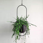 Hangplanter met metalen ringstructuur vorm