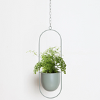 Hangplanter met metalen ringstructuur vorm