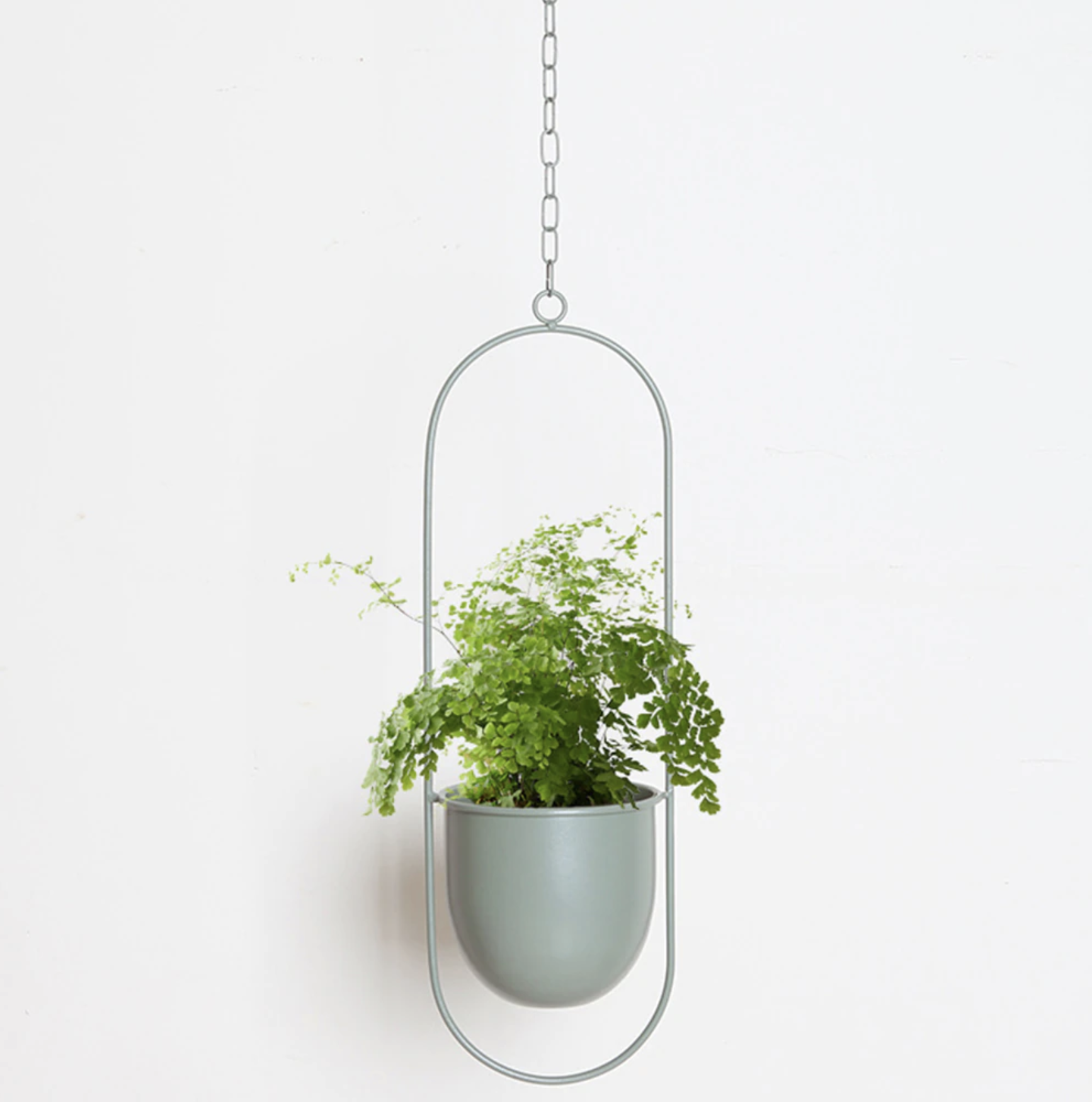 Hangplanter met metalen ringstructuur vorm