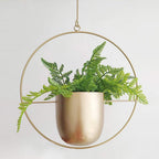 Hangplanter met metalen ringstructuur vorm