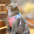 Suède Kattenharnas met Reflecterende Veiligheidsstrepen