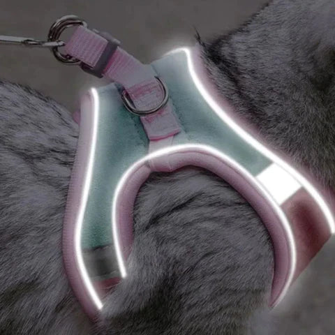 Suède Kattenharnas met Reflecterende Veiligheidsstrepen