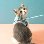 Suède Kattenharnas met Reflecterende Veiligheidsstrepen