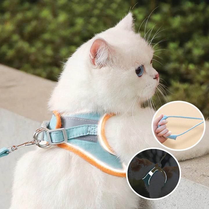 Suède Kattenharnas met Reflecterende Veiligheidsstrepen