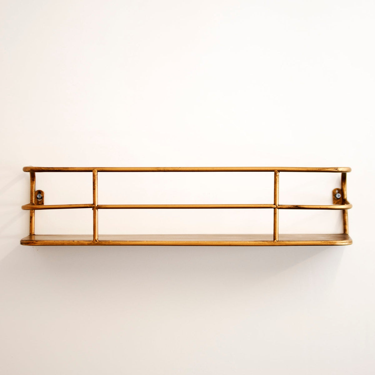 Wandplank van Metaal met Open Draadframe voor Planten en Decoratie