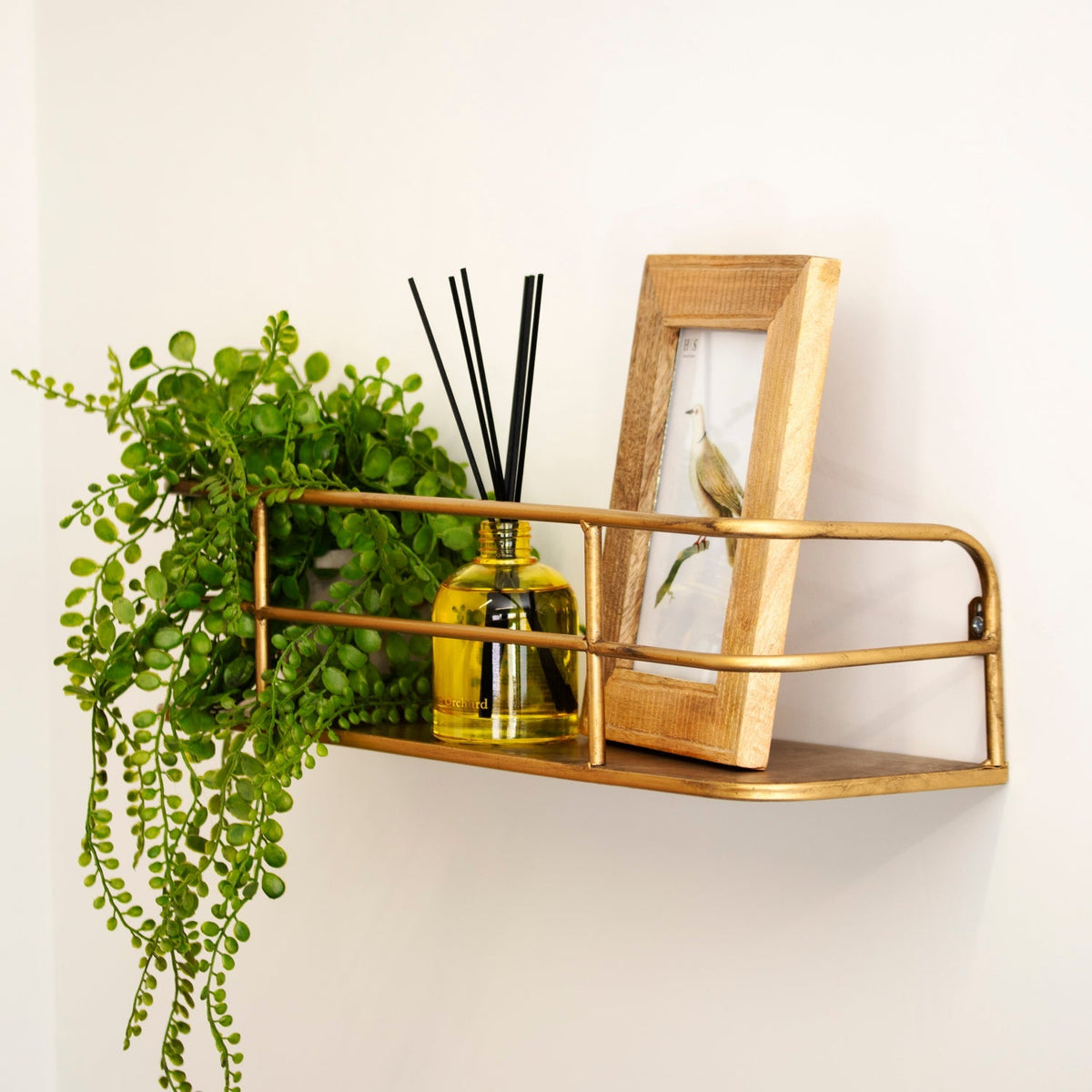 Wandplank van Metaal met Open Draadframe voor Planten en Decoratie