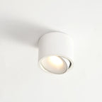 Led opbouwspot rond van aluminium