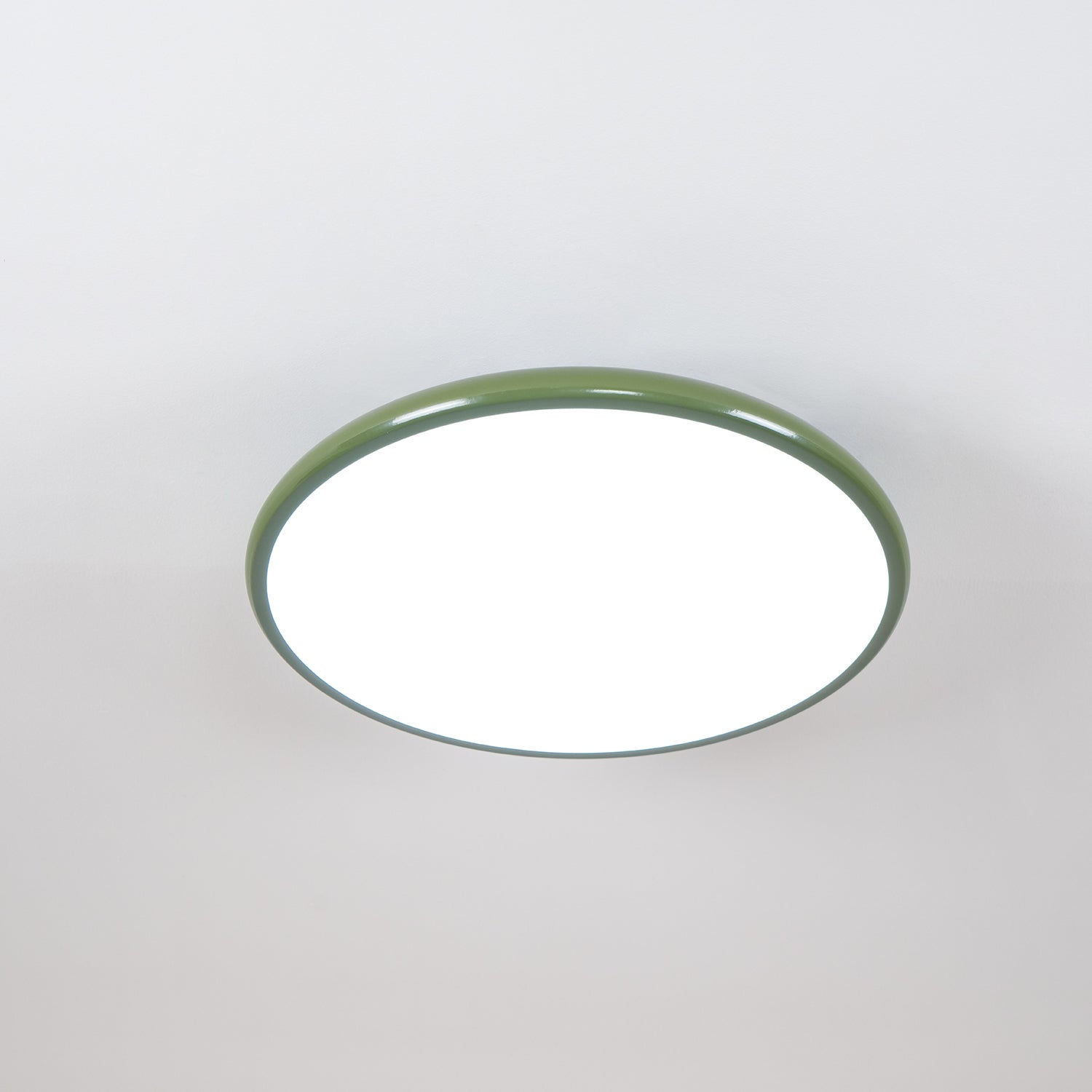 Verstelbare Plafondlamp Met Metalen Behuizing En Acrylkap