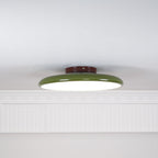 Verstelbare Plafondlamp Met Metalen Behuizing En Acrylkap