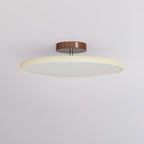 Verstelbare Plafondlamp Met Metalen Behuizing En Acrylkap