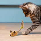 Interactieve Kattenmuis Met Automatische Beweging Voor Actief Dagelijks Spel