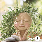 Hangende Bloempot Met Transparant Bolontwerp Voor Decoratieve Plantpresentatie