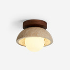 Compacte Plafondlamp Voor Moderne Interieurs