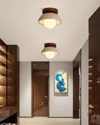 Compacte Plafondlamp Voor Moderne Interieurs