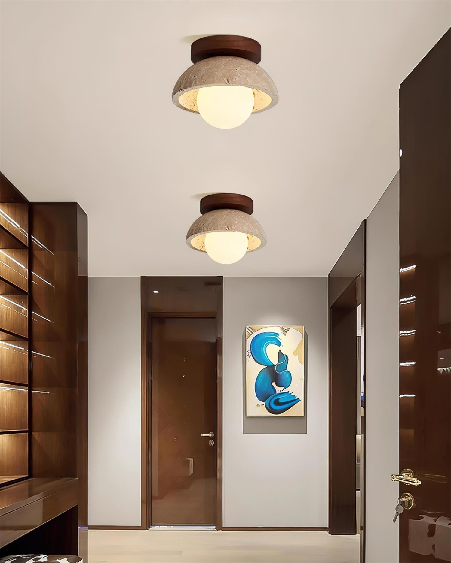 Compacte Plafondlamp Voor Moderne Interieurs