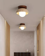Compacte Plafondlamp Voor Moderne Interieurs