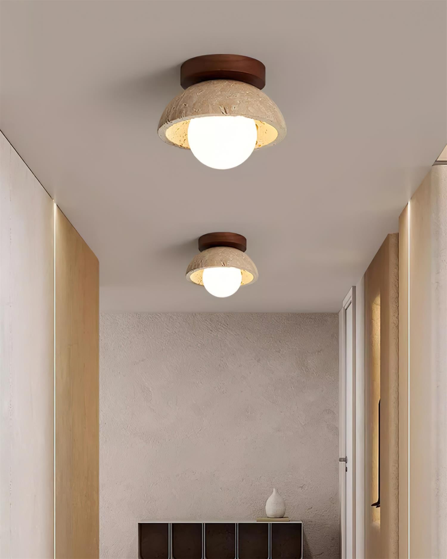 Compacte Plafondlamp Voor Moderne Interieurs
