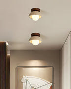 Compacte Plafondlamp Voor Moderne Interieurs