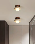 Compacte Plafondlamp Voor Moderne Interieurs