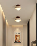 Compacte Plafondlamp Voor Moderne Interieurs